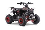 ATV pentru copii model ATV-3C, motor benzina 110cc, transmisie automata - imagine 18