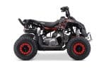 ATV pentru copii model ATV-3C, motor benzina 110cc, transmisie automata - imagine 25