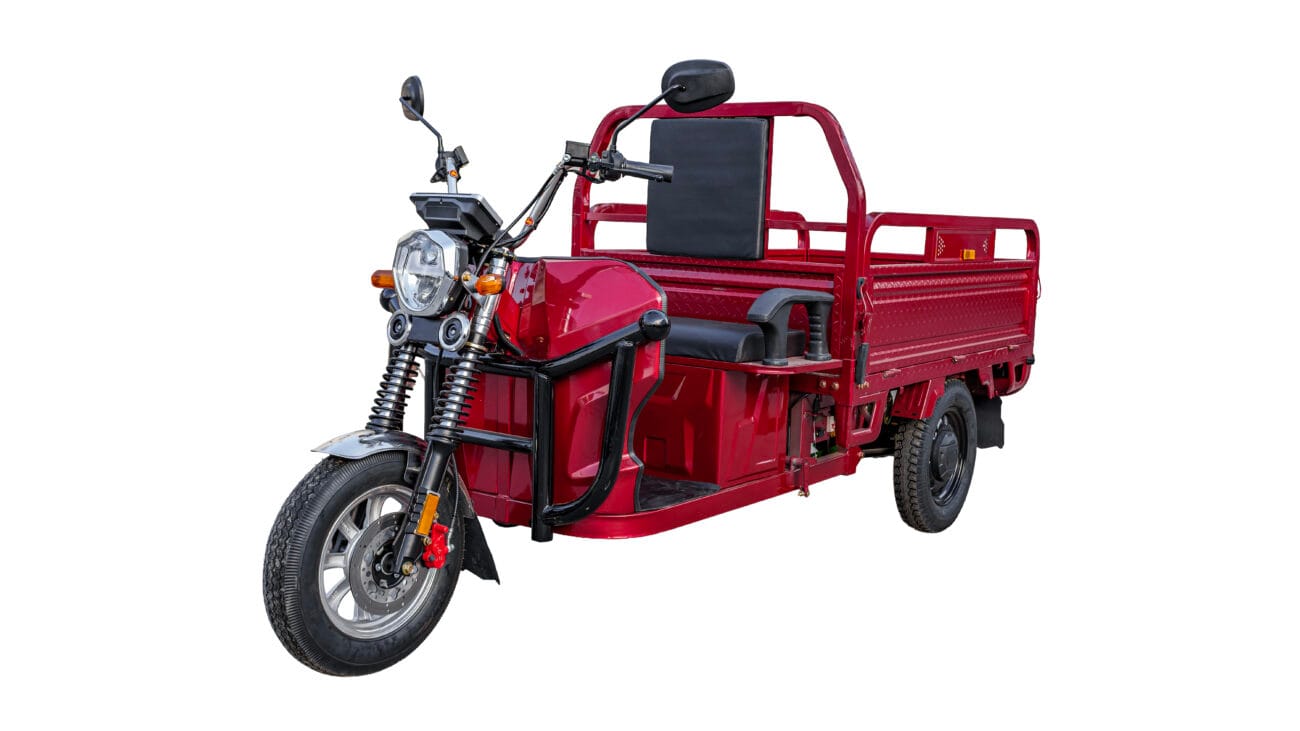 DSC07876 Edit 2 - Trotty